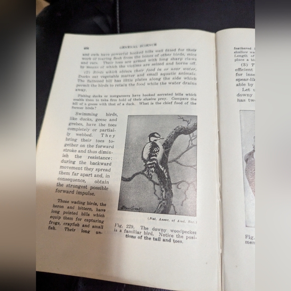 Vintage mid century General Science Grade 10 School book. Fair Condition  . - Picture 15 of 15